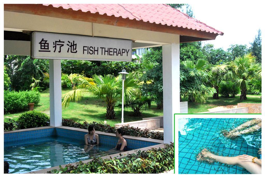 Tienyow Grand Hotel Hải Khẩu Phòng bức ảnh